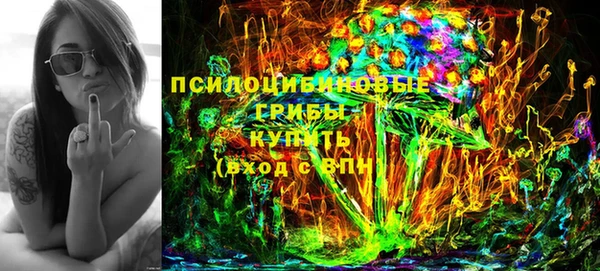 ПСИЛОЦИБИНОВЫЕ ГРИБЫ Бородино